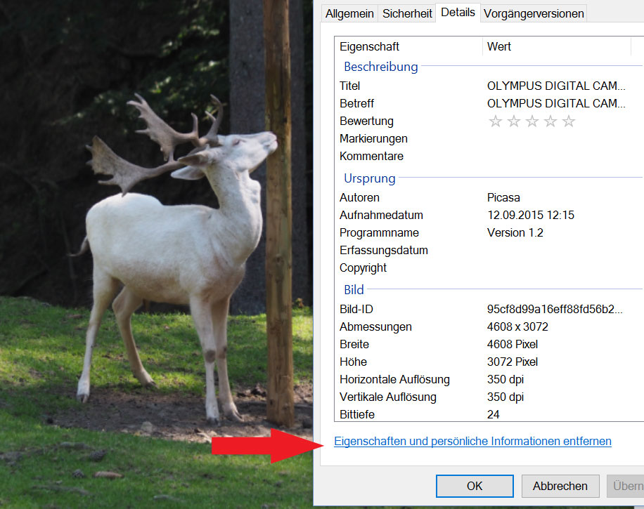 Mit Windows-Fotoanzeige Metadaten löschen, (c) Axel Nelles