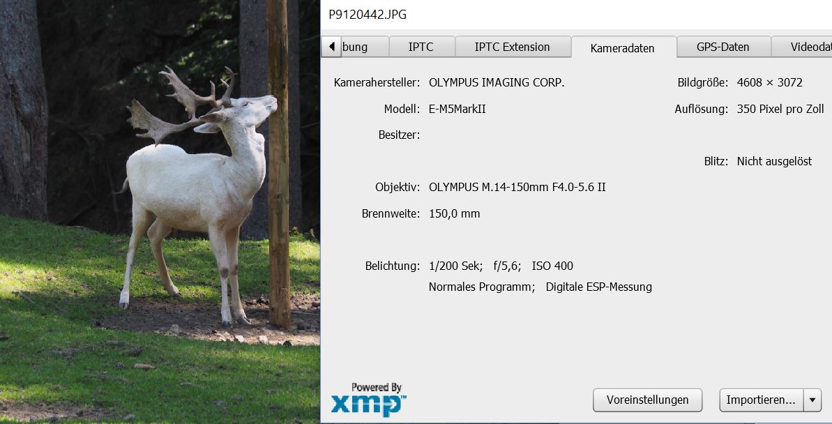 XMP-Daten einer Fotodatei, (c) Axel Nelles
