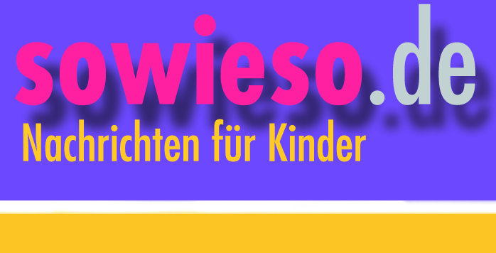 Logo sowieso.de