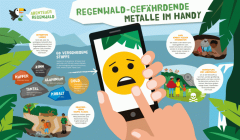 Grafik: Smartphones und Regenwald / Bild: Abenteuer Regenwald 