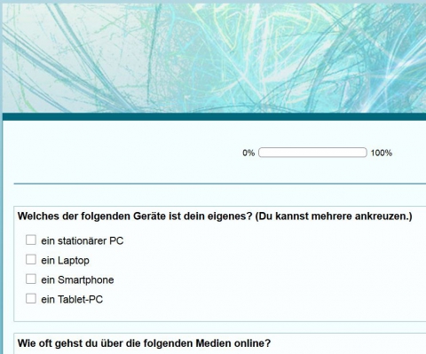 Screenshot der Online- Befragung